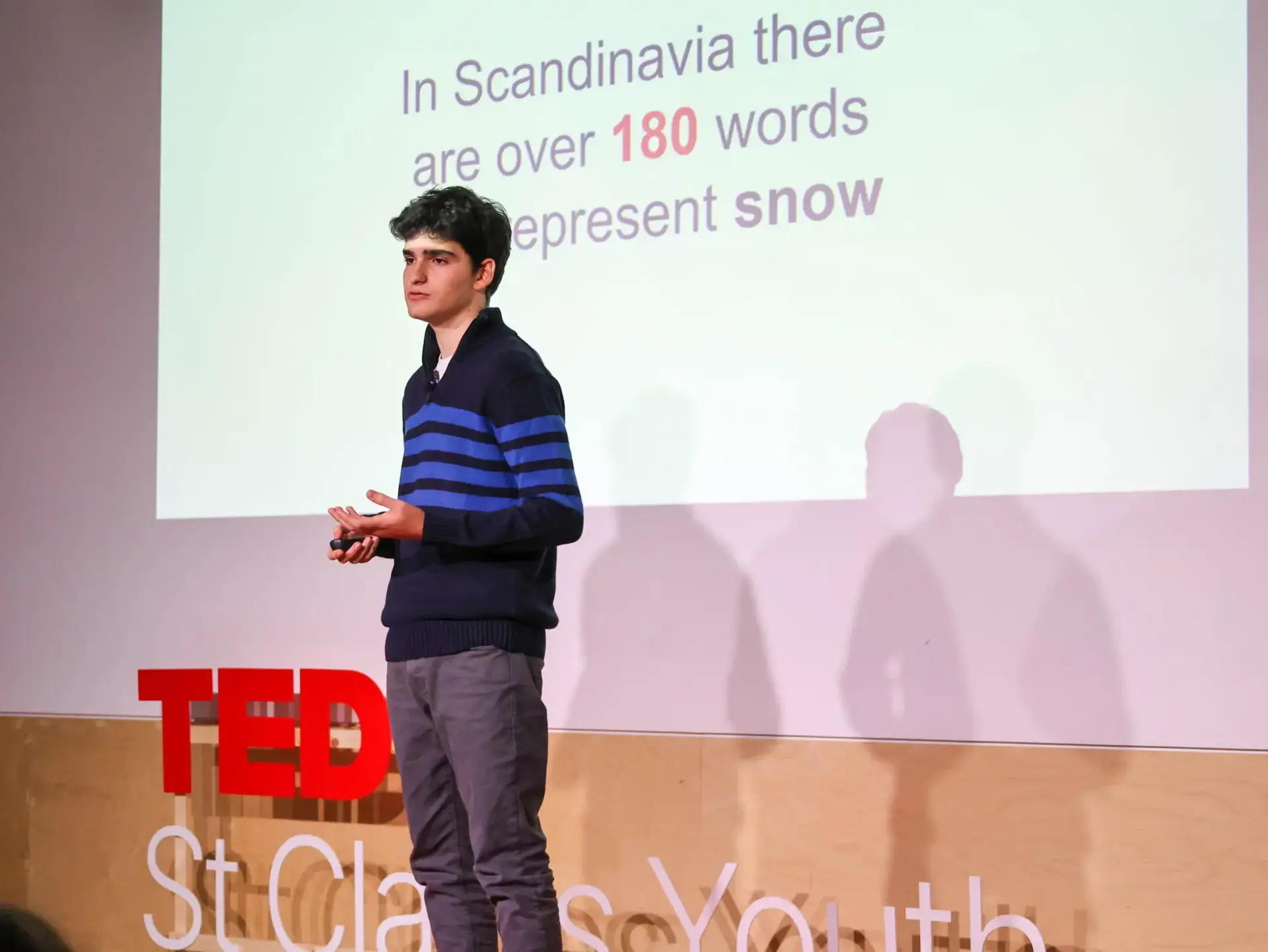 TEDx speaker giving presentation