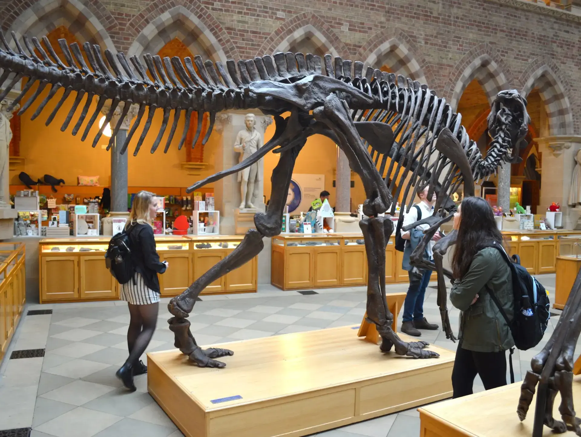Dinosaur skeleton on display in museum