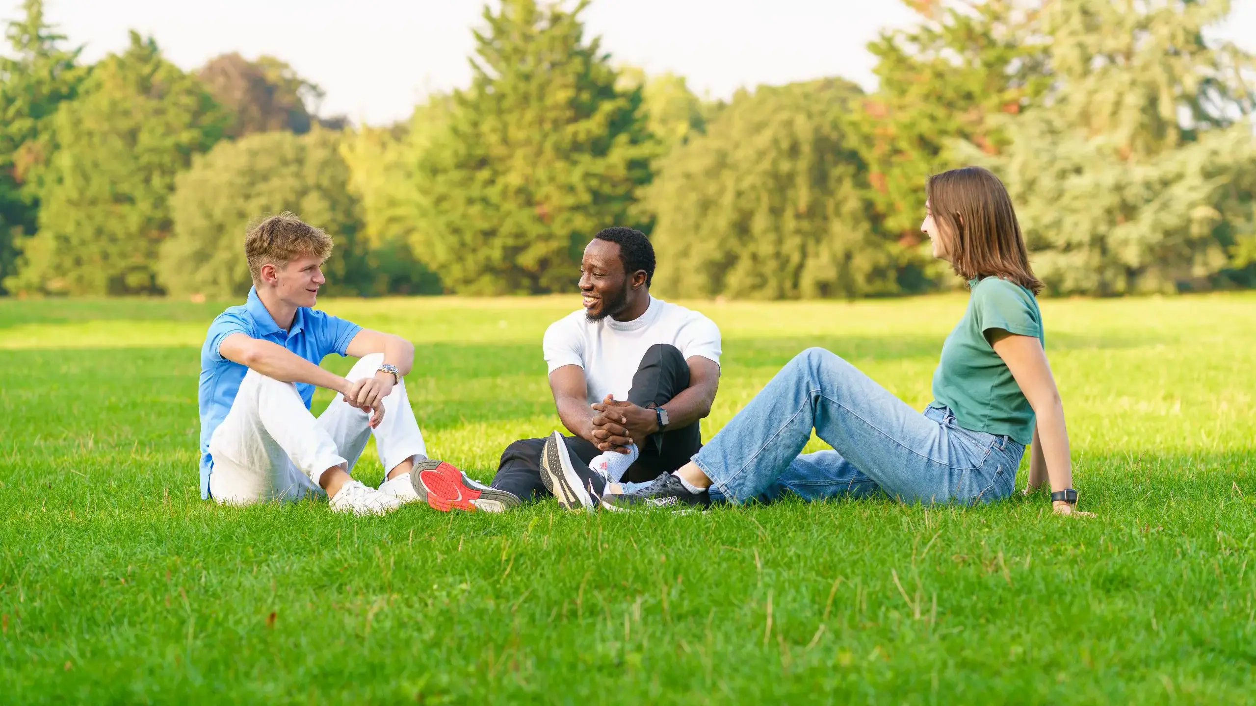 Students sitting on grass chatting