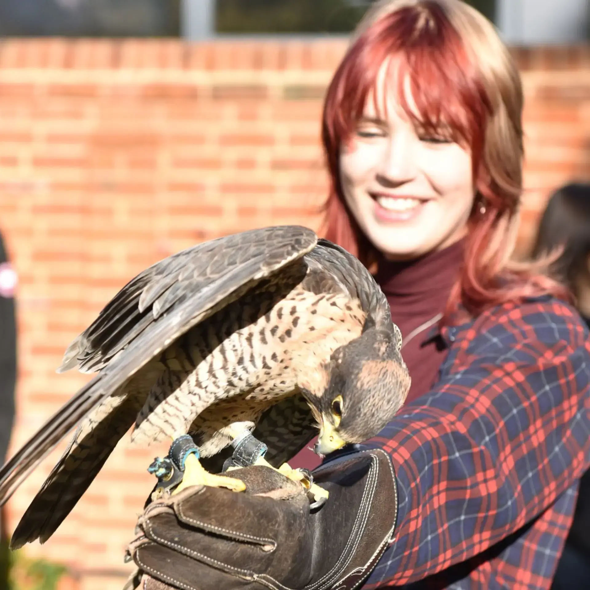 Student holding bird of prey on arm