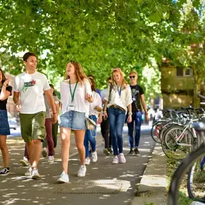 Students walking outside under trees and talking