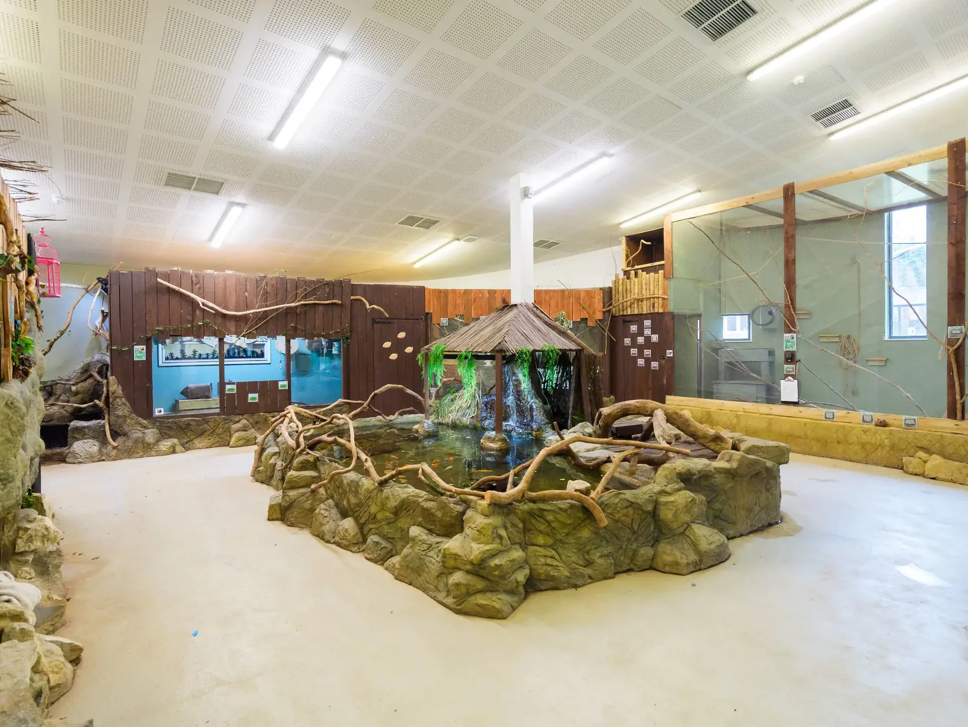 Reptile room at Merrist Wood