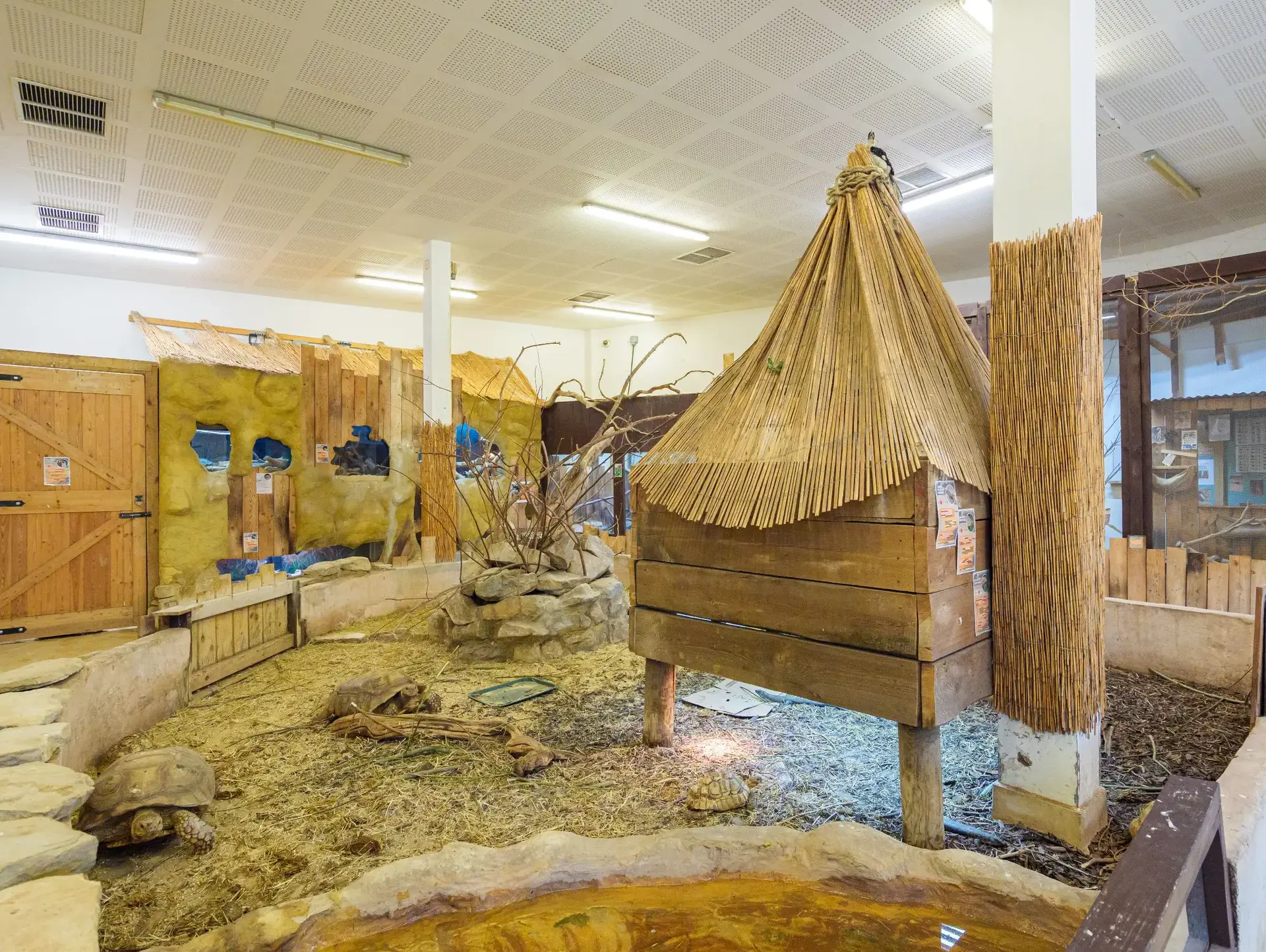Indoor animal habitat at Merrist Wood