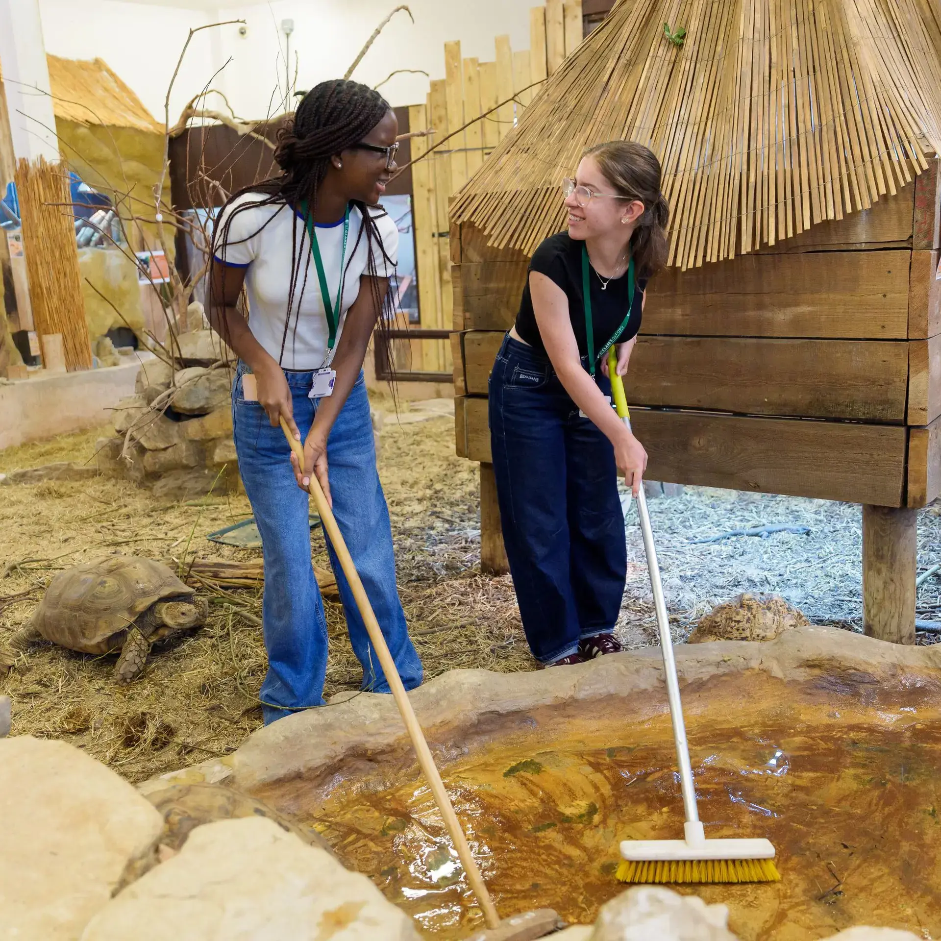 Students cleaning animal habitat