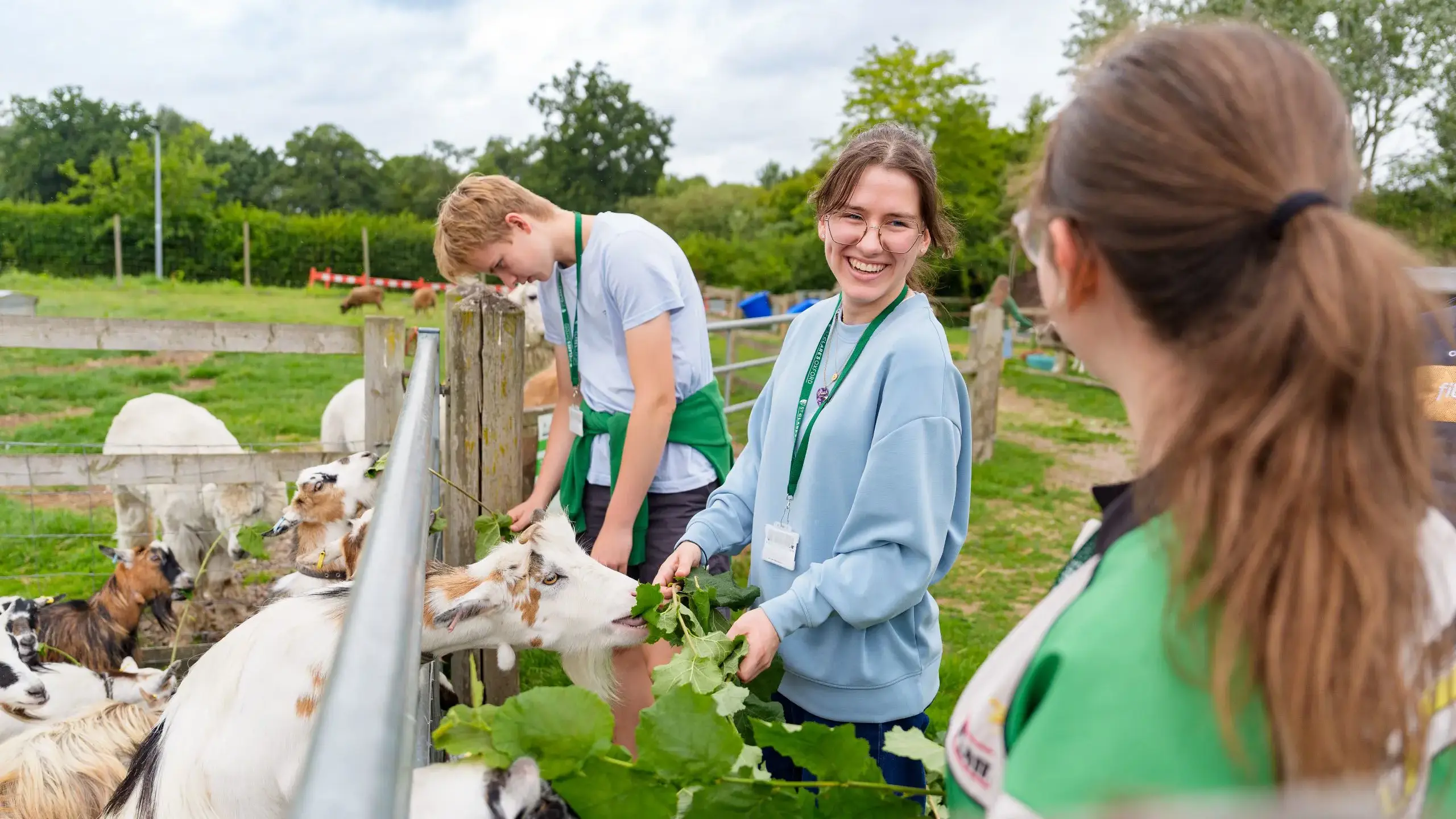 Students feeding goats